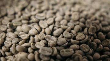 Is There Mould in Coffee: The Truth About Mycotoxins